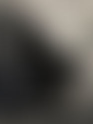 Review of King Nyx by Kirsten Bakis