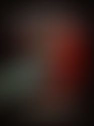 Review of The Project by Courtney Summers