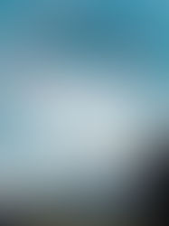 Review of Forty Autumns by Nina Willner