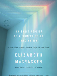 Review of An Exact Replica of a Figment of My Imagination by Elizabeth McCracken