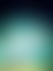 Review of Fallen Land by Taylor Brown