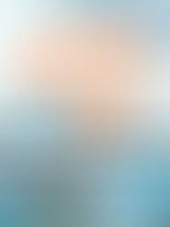 Review of Every Summer After by Carley Fortune