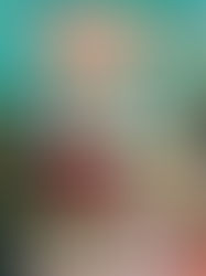 November Wrap-Up: My Favorite Reads of the Month