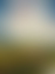 Review of The Women in the Castle by Jessica Shattuck