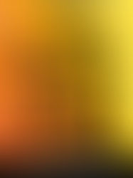 Review of In the Wild Light by Jeff Zentner