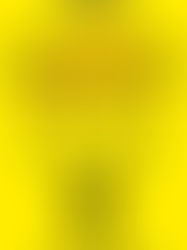 Review of The Hunting Party by Lucy Foley