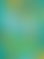 Review of The Villa by Rachel Hawkins