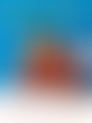 Six Foodie Memoirs to Whet Your Appetite