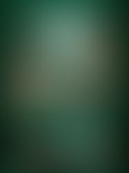 Review of A Dangerous Collaboration (Veronica Speedwell #4) by Deanna Raybourn