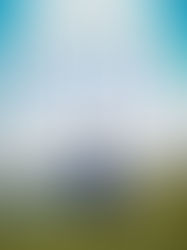 Review of Maria: A Novel of Maria von Trapp by Michelle Moran