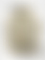 Review of The Stolen Heir (Stolen Heir #1) by Holly Black