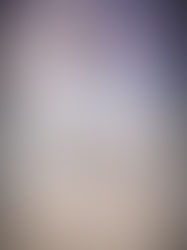 Review of Festival Days by Jo Ann Beard