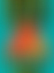 Review of Wellness by Nathan Hill