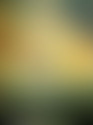 Review of Ordinary Grace by William Kent Krueger