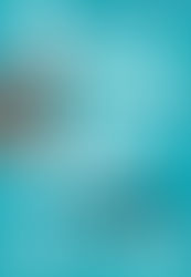 Six Fascinating Books about Immigrants' Experiences