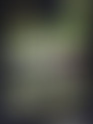 Six Four-Star (and Up) Science Fiction Reads I've Loved