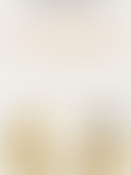 October Wrap-Up: My Favorite Reads of the Month