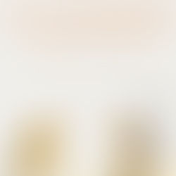 October Wrap-Up: My Favorite Reads of the Month