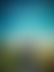 Review of My Heart Went Walking by Sally Hanan