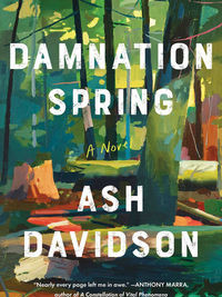 Review of Damnation Spring by Ash Davidson
