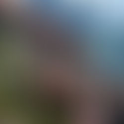 One More List of My Favorite Historical Fiction Reads of the Year