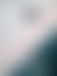 Review of Landslide by Susan Conley