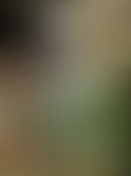 Three Books I'm Reading Now, 9/30/24 Edition