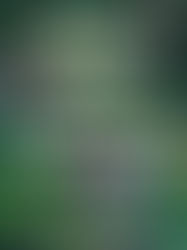 Review of When Women Were Dragons by Kelly Barnhill