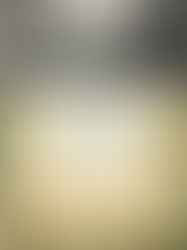 Review of The Gilded Hour by Sara Donati