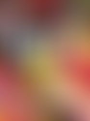 Review of Burst by Mary Otis