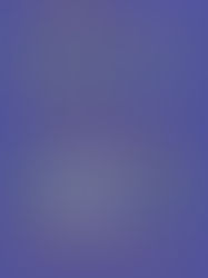 Review of The Hero of This Book by Elizabeth McCracken