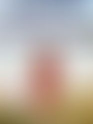 Review of Evvie Drake Starts Over by Linda Holmes