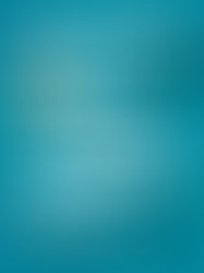 Review of Lula Dean's Little Library of Banned Books by Kirsten Miller