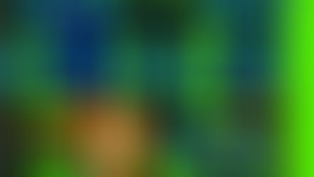 Review of First Lie Wins by Ashley Elston