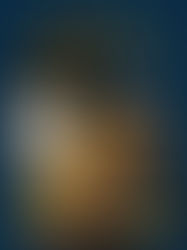 Review of The Last Painting of Sara de Vos by Dominic Smith