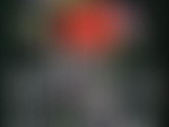 Review of Hemlock & Silver by T. Kingfisher