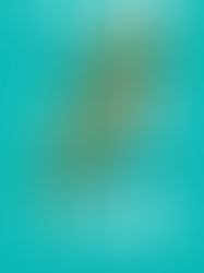 Six Powerful Memoirs About Facing Mortality