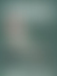 Bossy Holiday Book Gift Ideas: Sports and Recreation Nonfiction