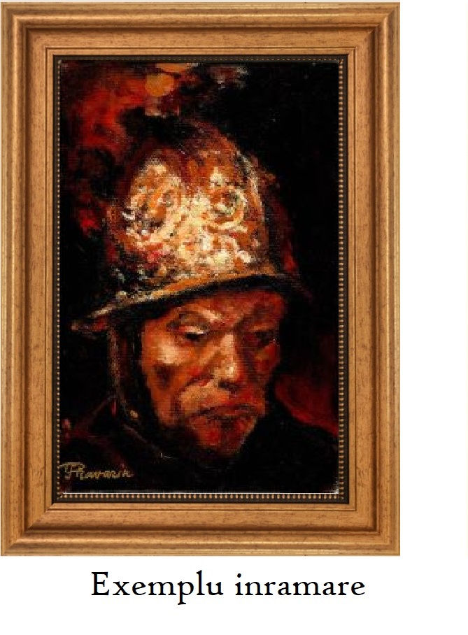 P6. Soldat si coiful lui Rembrandt - pe format mic