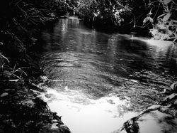 IMG_2905