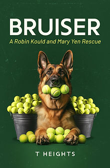 BRUISER cover Ebook (3).jpg