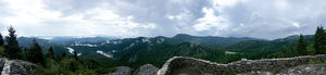 Bridget's Bites Takes Flight- Destination: Asheville, NC