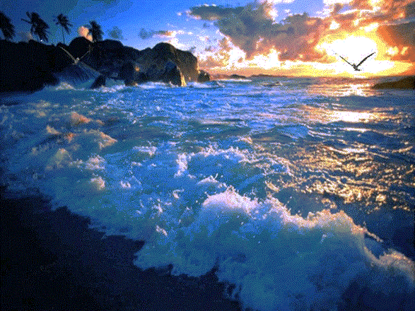 ec91484d9e1c009a1baa04d061b3a9ee.gif