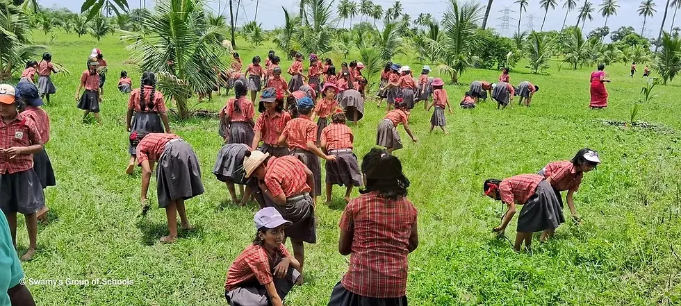 farm visit