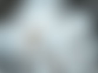 A close-up image of a wastebasket full of crumpled papers.