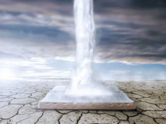 baptise.jpg