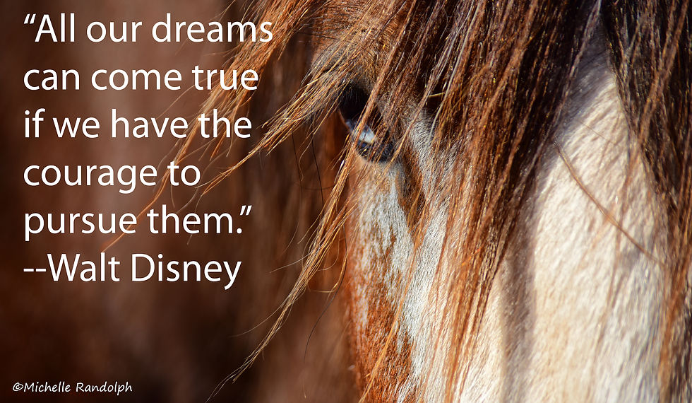 Clydesdale - "All our dreams can come true if we have the courage to pursue them."