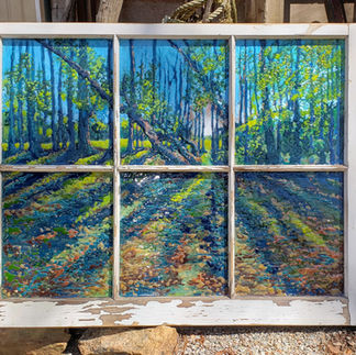 Forest Walk at Sunset - Lyle Swamp, Mixed Media on Glass by Artist Kim Anderson