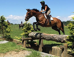 Can't wait for Fair Hill this weekend!
