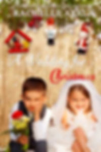 A Wedding for Christmas